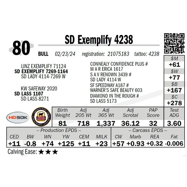 SD Exemplify 4238