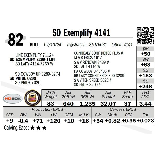 SD Exemplify 4141