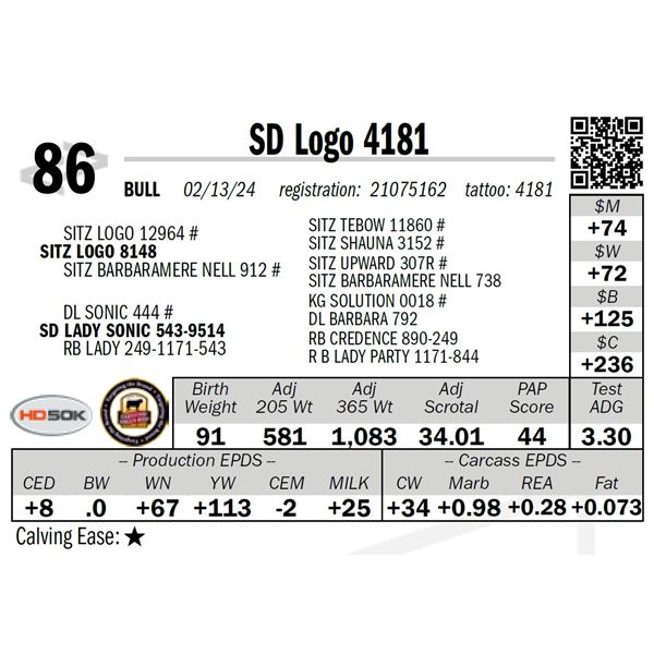SD Logo 4181