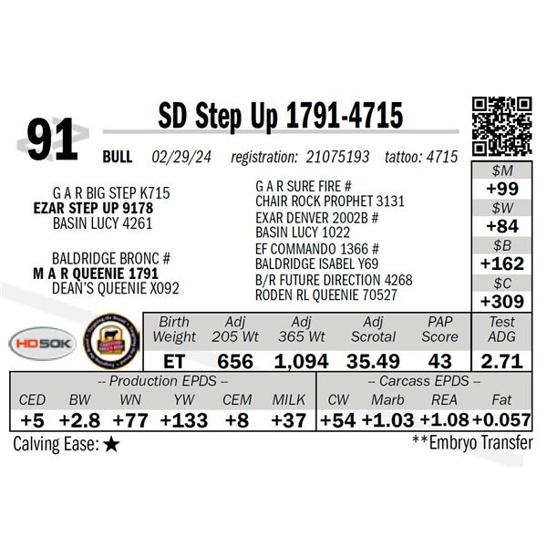 SD Step Up 1791-4715