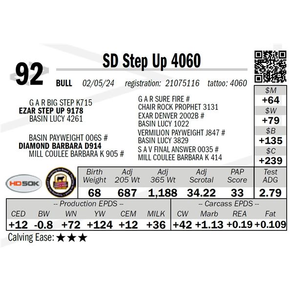 SD Step Up 4060