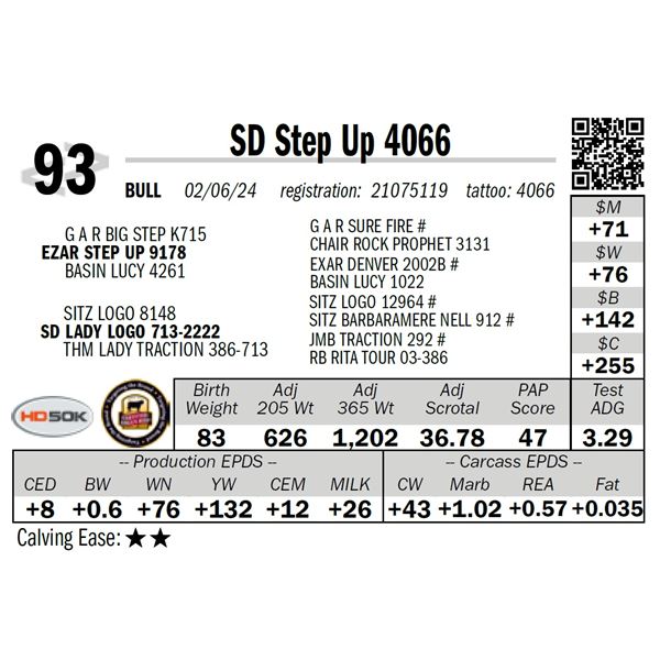SD Step Up 4066