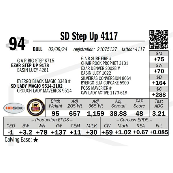 SD Step Up 4117