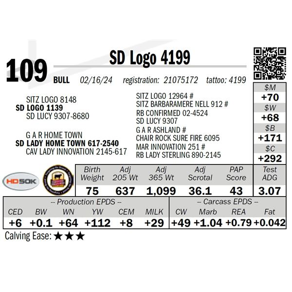 SD Logo 4199