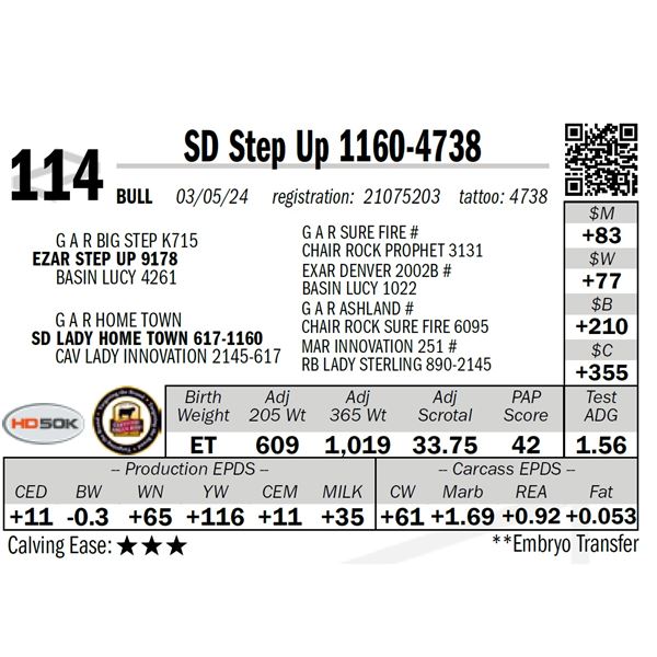 SD Step Up 1160-4738