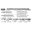 Image 1 : DIAMOND CAVALRY M098G BR