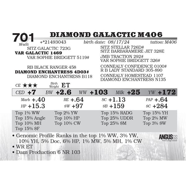 Diamond Galactic M406