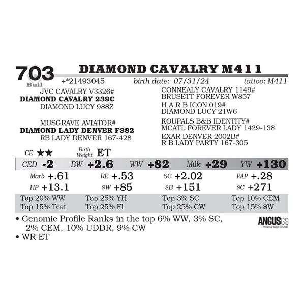 Diamond Cavalry M411