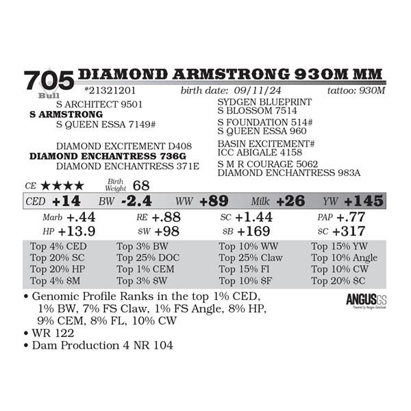 Diamond Armstrong 930M MM
