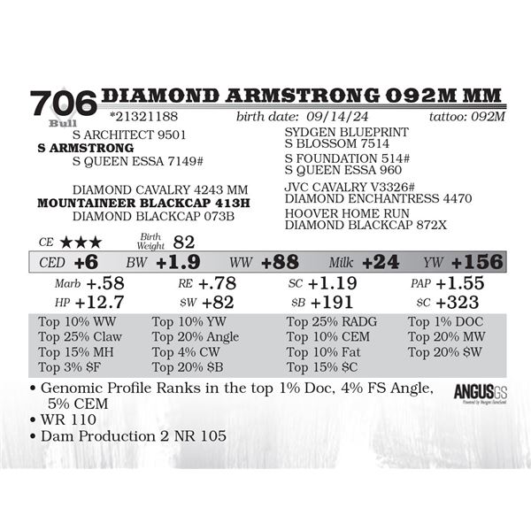 Diamond Armstrong 092M MM
