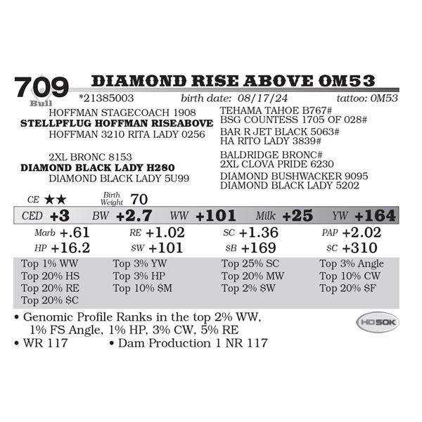 Diamond Rise Above 0M53