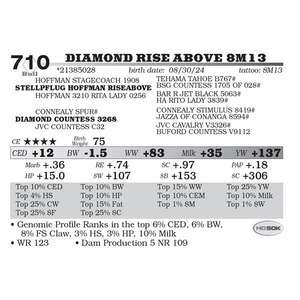 Diamond Rise Above 8M13