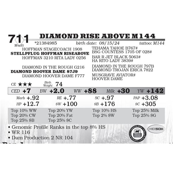 Diamond Rise Above M144