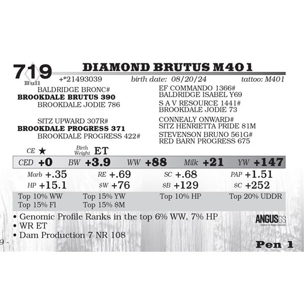 Diamond Brutus M401