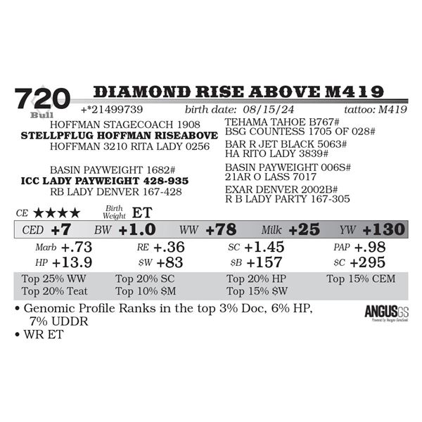 Diamond Rise Above M419