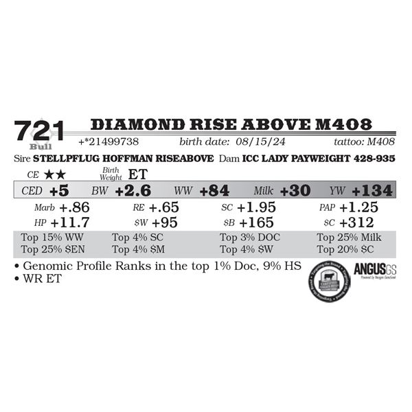 Diamond Rise Above M408