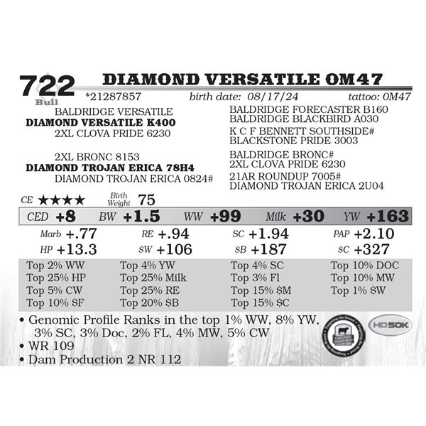Diamond Versatile 0M47