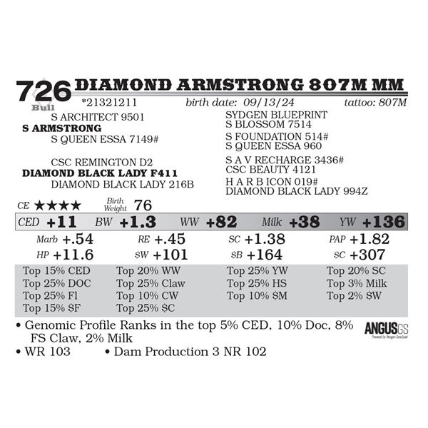 Diamond Armstrong 807M MM