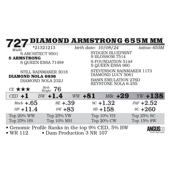 Diamond Armstrong 655M MM