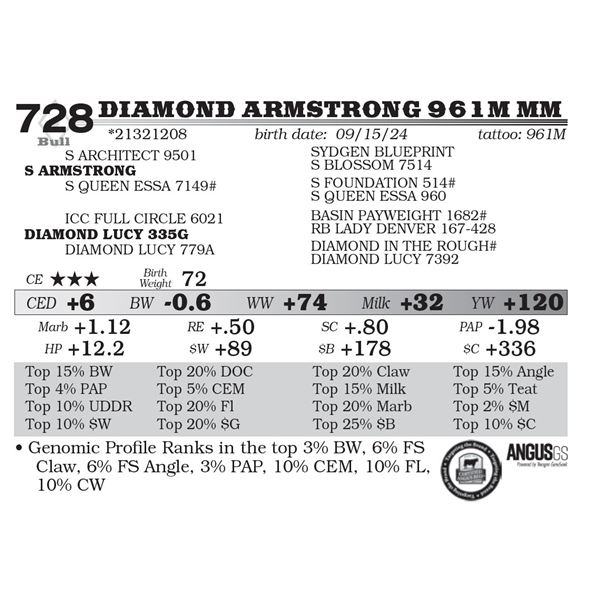 Diamond Armstrong 961M MM