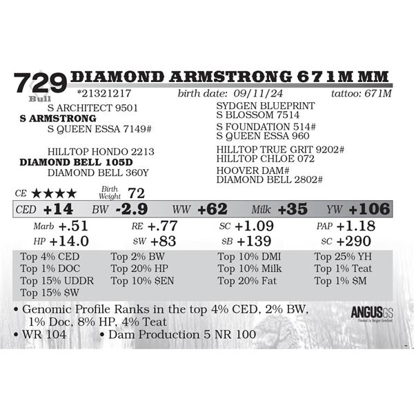 Diamond Armstrong 671M MM