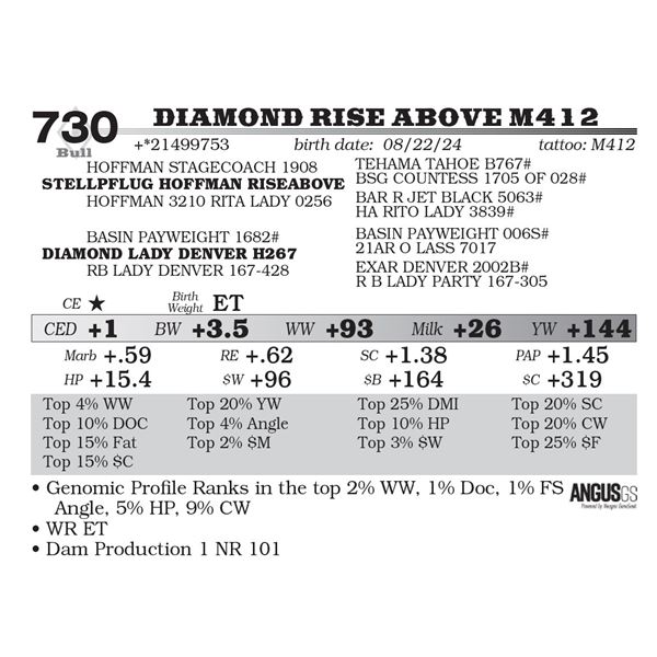 Diamond Rise Above M412