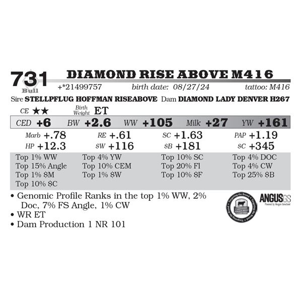 Diamond Rise Above M416