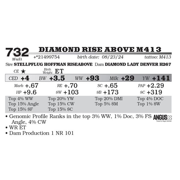 Diamond Rise Above M413