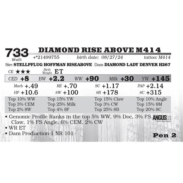 Diamond Rise Above M414