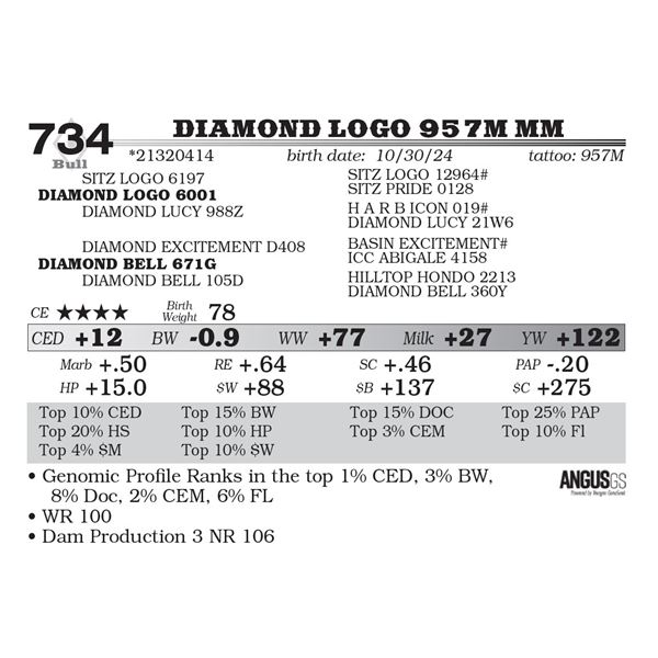Diamond Logo 957M MM
