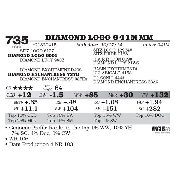 Diamond Logo 941M MM