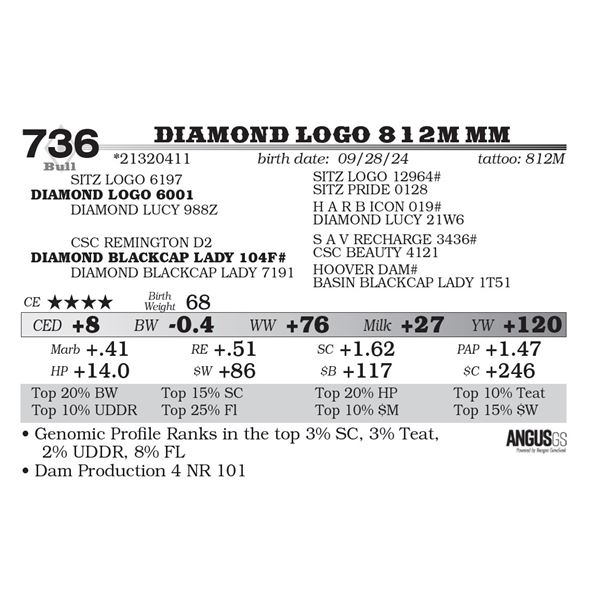 Diamond Logo 812M MM