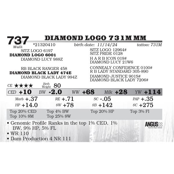 Diamond Logo 731M MM