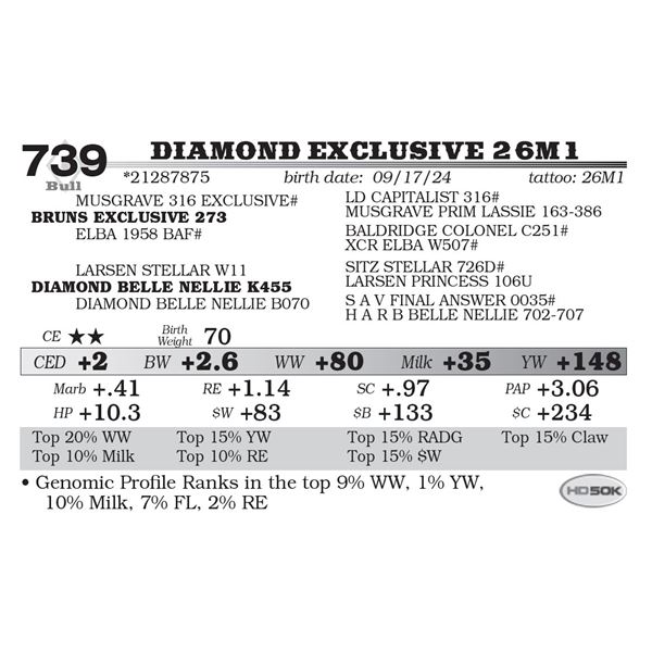 Diamond Exclusive 26M1