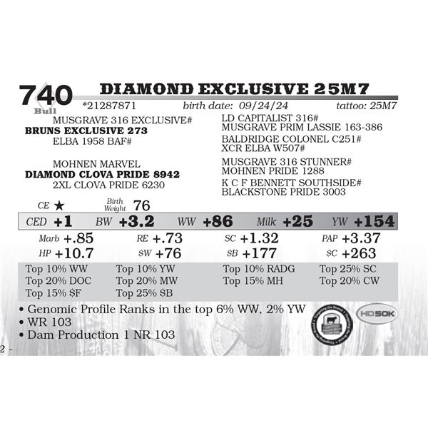 Diamond Exclusive 25M7