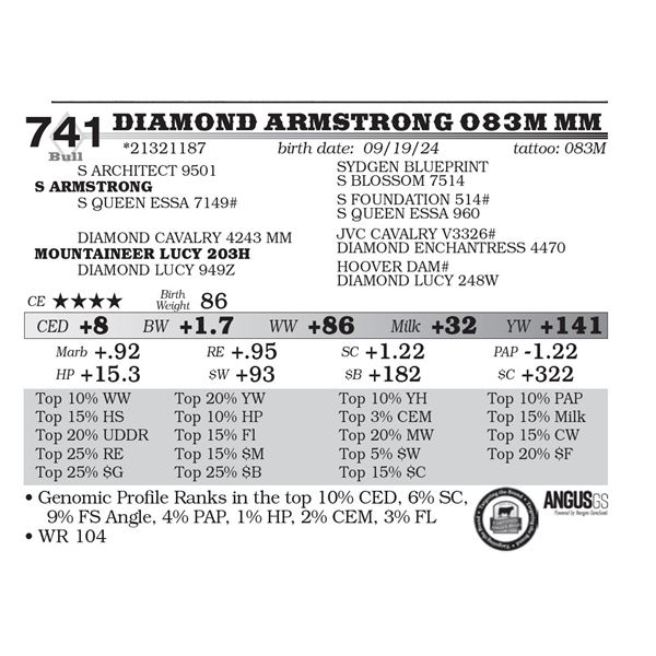 Diamond Armstrong 083M MM