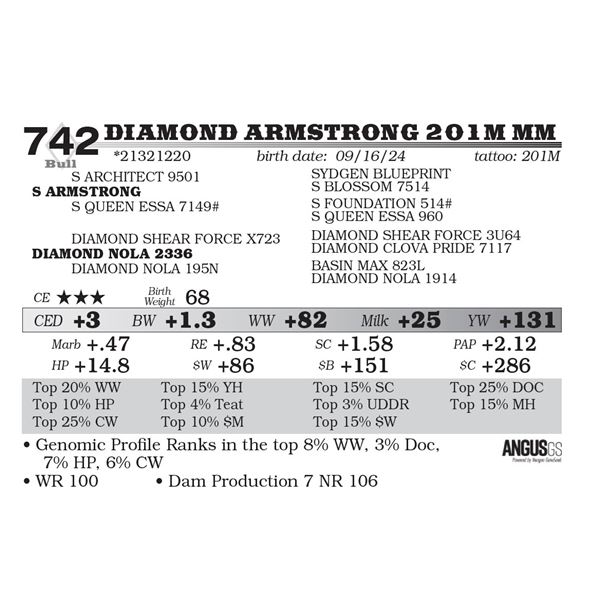 Diamond Armstrong 201M MM