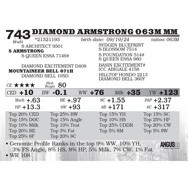 Diamond Armstrong 063M MM