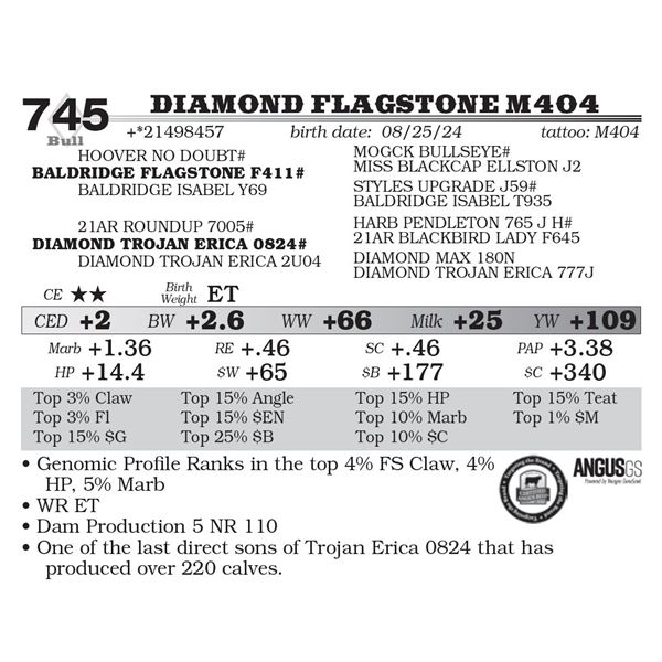 Diamond Flagstone M404