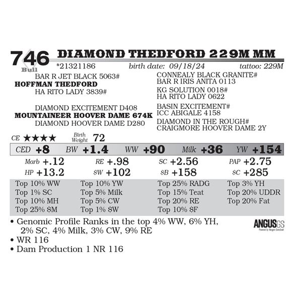 Diamond Thedford 229M MM