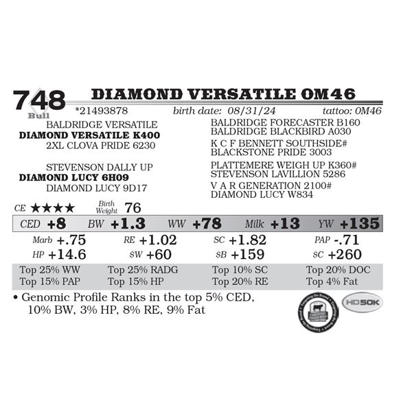 Diamond Versatile 0M46