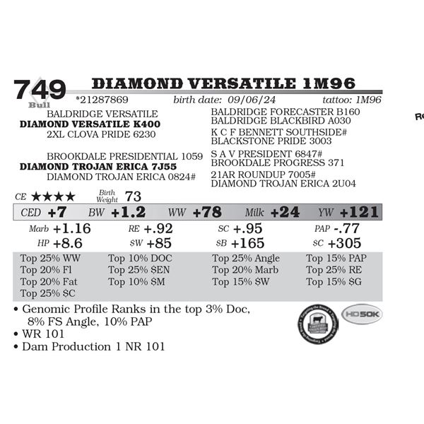 Diamond Versatile 1M96