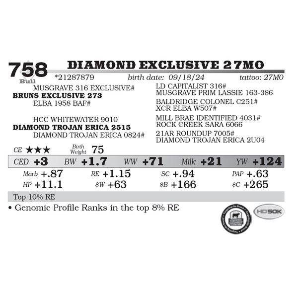 Diamond Exclusive 27M0