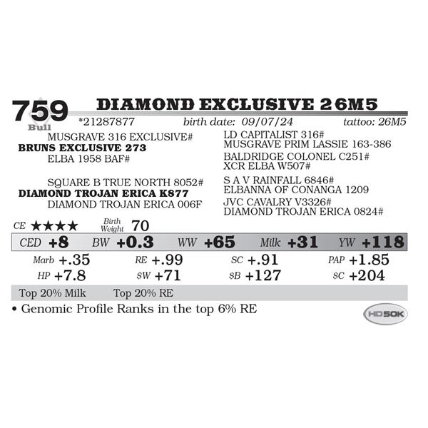 Diamond Exclusive 26M5