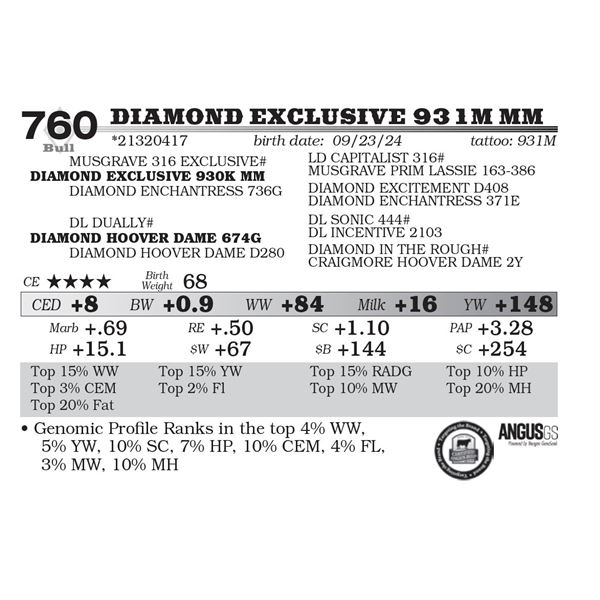 Diamond Exclusive 931M MM