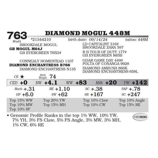 Diamond Mogul 448M