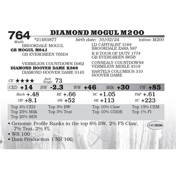 Diamond Mogul M200