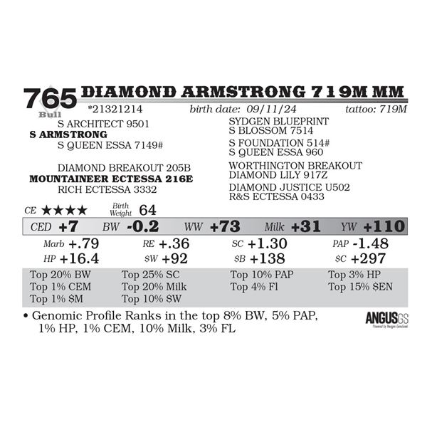 Diamond Armstrong 719M MM