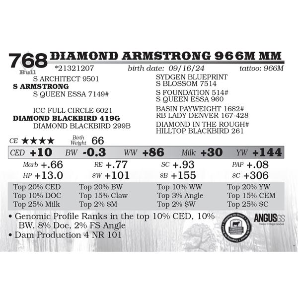 Diamond Armstrong 966M MM