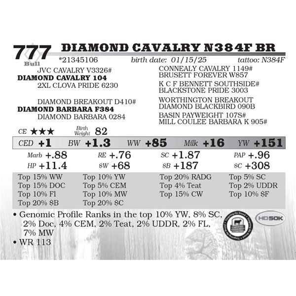 Diamond Cavalry N384F BR